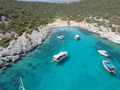 Akvaryum Koyu